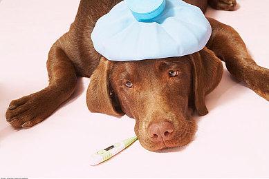 《深四目朝生-阴阳之巫女-》推迟至2025年发行